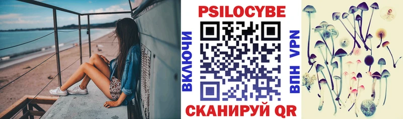 Псилоцибиновые грибы Psilocybe  Купить закладки  Дальнегорск 